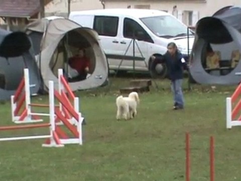 Anis Jumping Chateauroux 03 2011