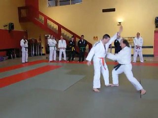 stage jujitsu metzervisse 19-20 mars 2011 054