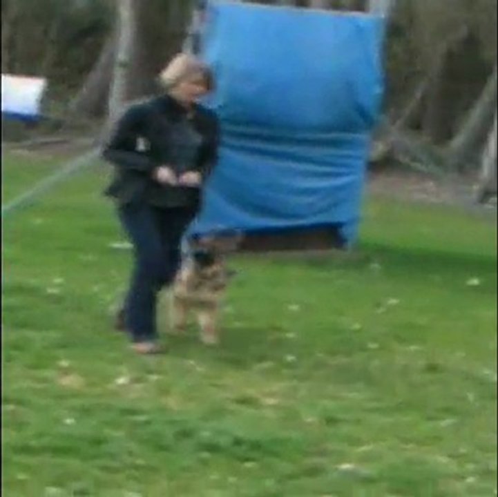 Faya après 3 mois à la maternelle des chiots 3