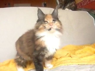 Grace Kelly 67 jours