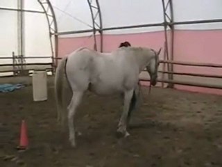 Level2 Online Pride & Marthe