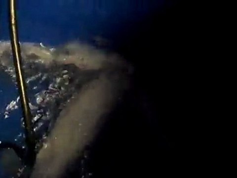 Making salt water changes easier with a big bucket