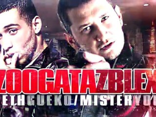 SETH GUEKO - MISTER YOU _ Zoogatazblex _