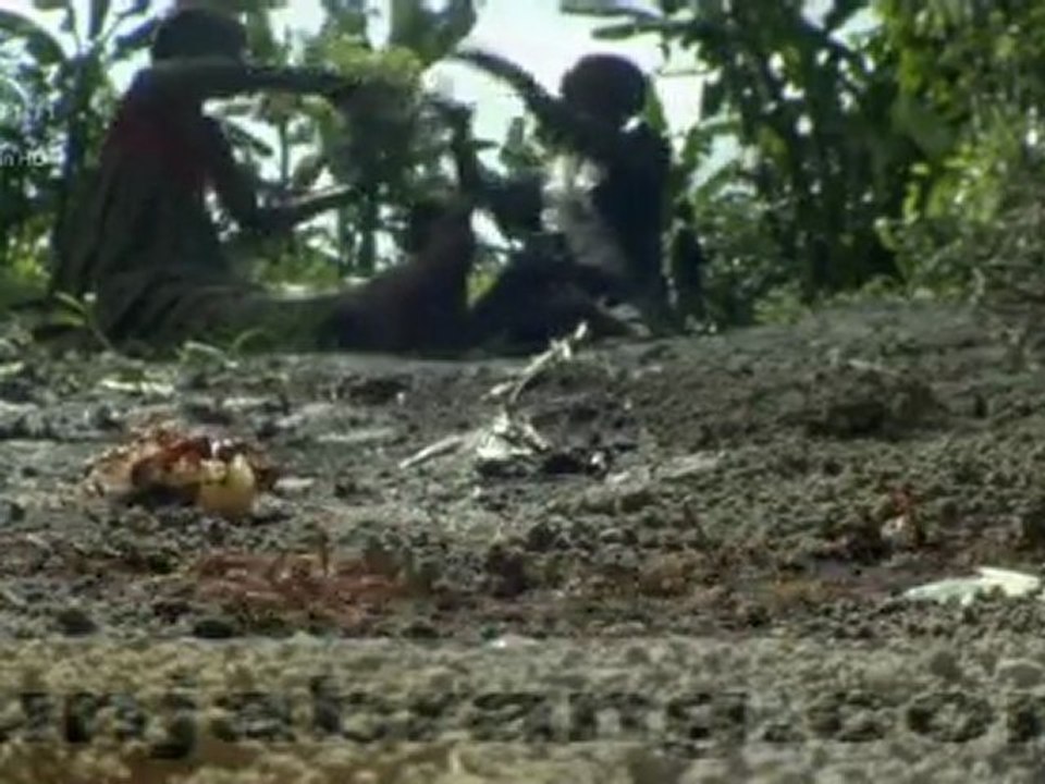 Natures Incredilbe Invasions-2/3 Punjabrang.com