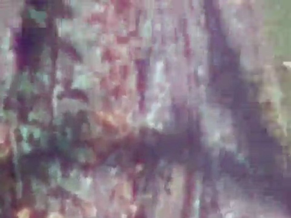 IMAG0582