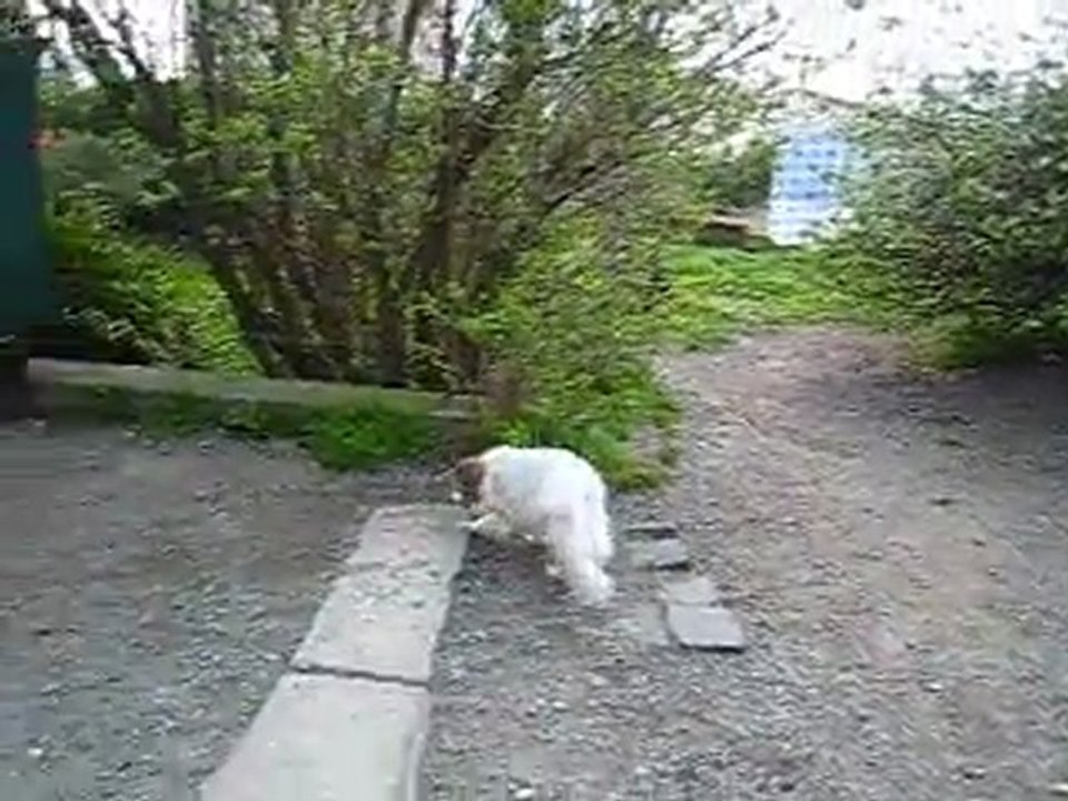 Gwenny le 27032011