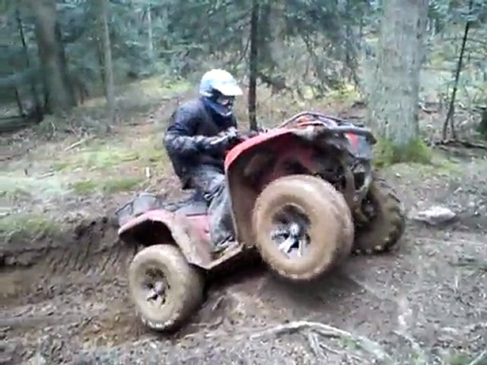 cascade en 700 grizzly