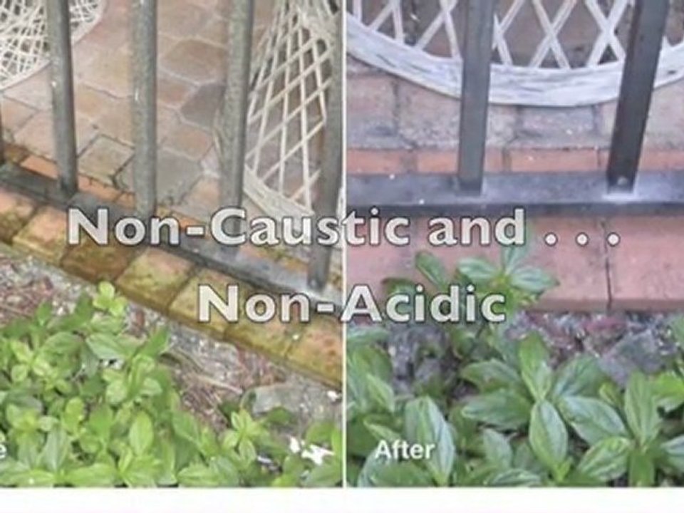 Seattle Roof Cleaning / 206-786-0098 / Seattle Roof Moss Removal