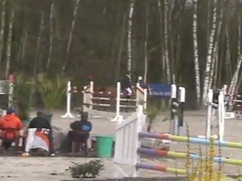 ziezo verquineul