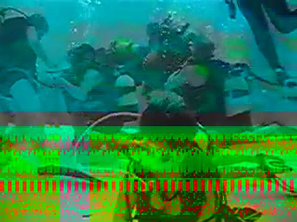 Sortie Nemo33 - Mars 2011