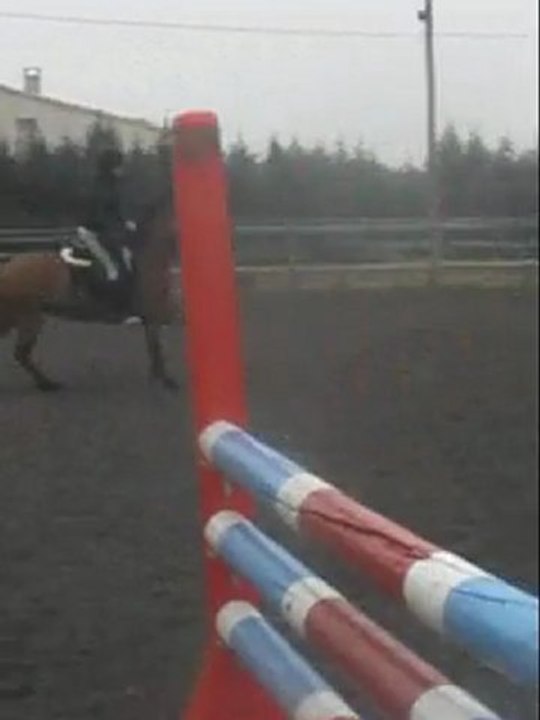 Concours de saut