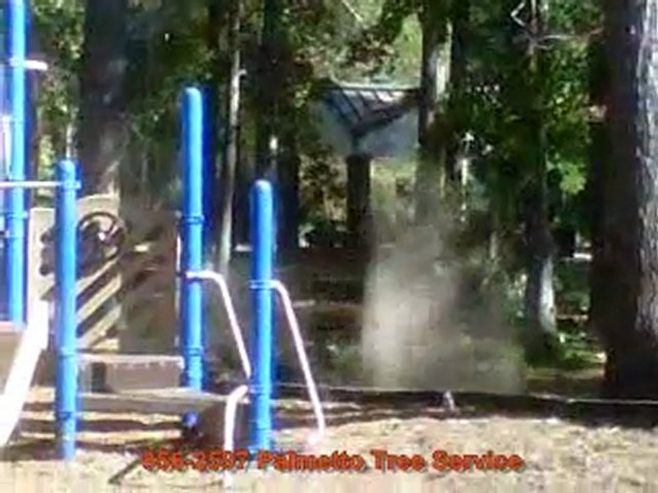 Tree Service Charleston SC 29403 Tree Removal