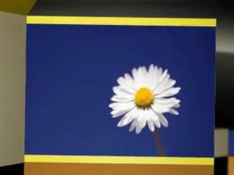 Buffalo NY Movers716- 226-0950