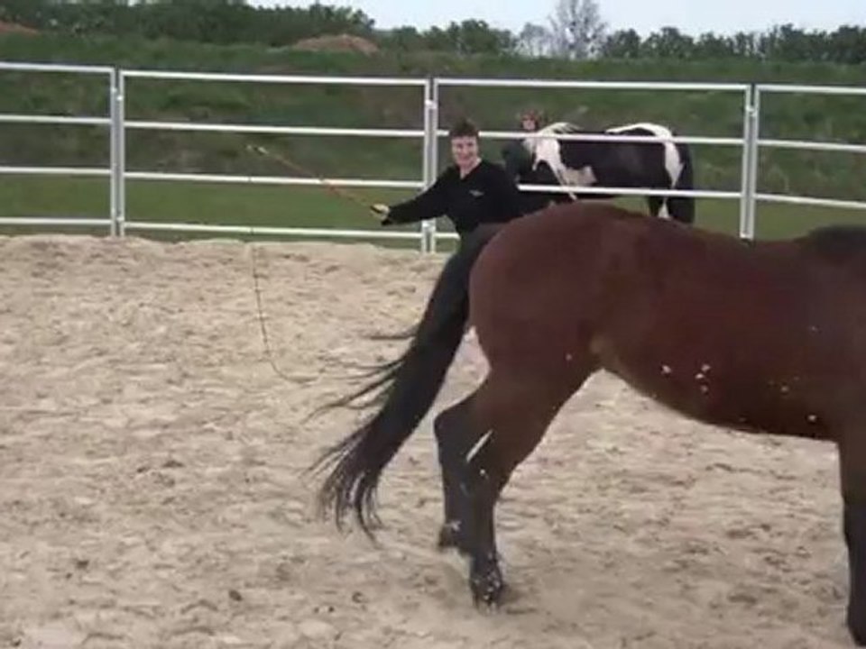 19.03.2011 Mome en liberté, rond de longe