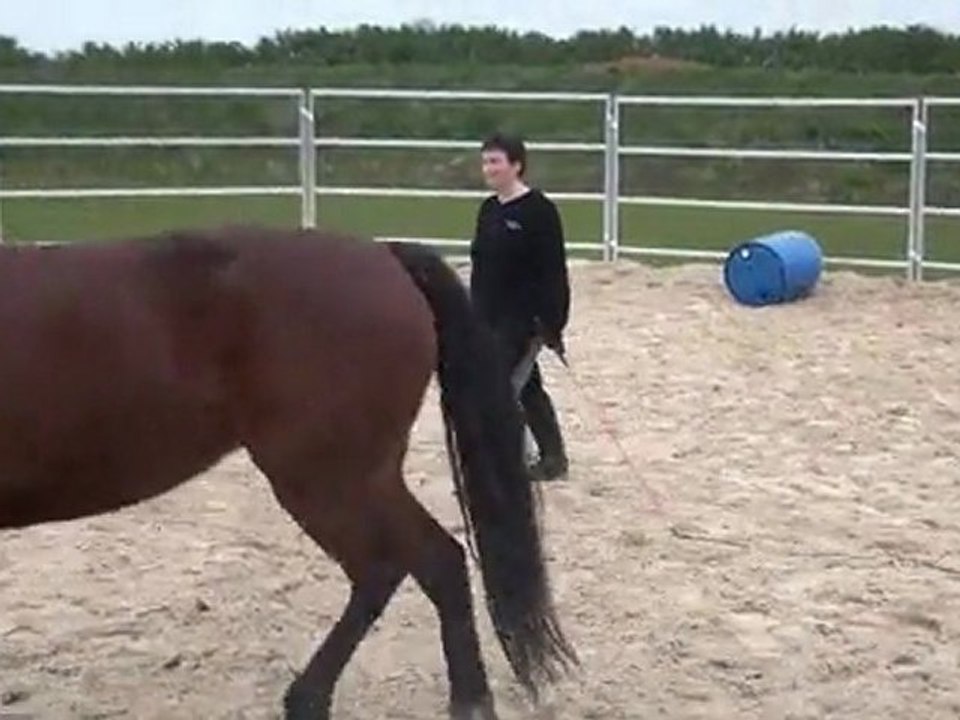 19.03.2011 Mome en liberté, rond de longe