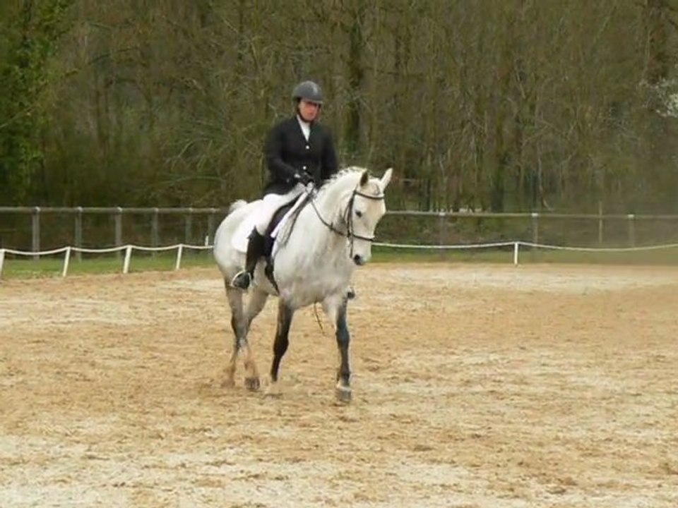 Gaëlle sur Mezcal.Amateur 3 B-27 mars 2011.dressage Laval.