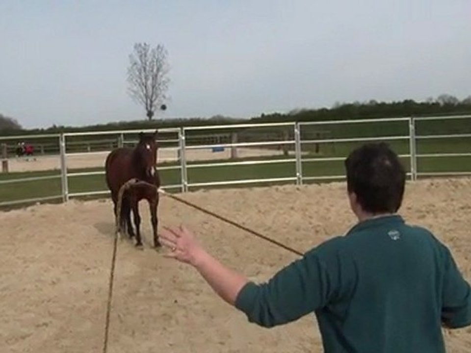 20.03.2011. Mome dans le rond longe