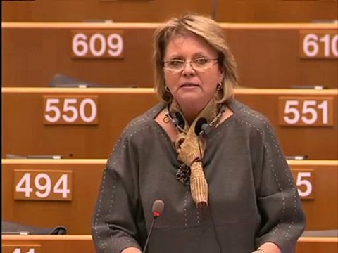 Siiri Oviir on Explanations of vote (II)