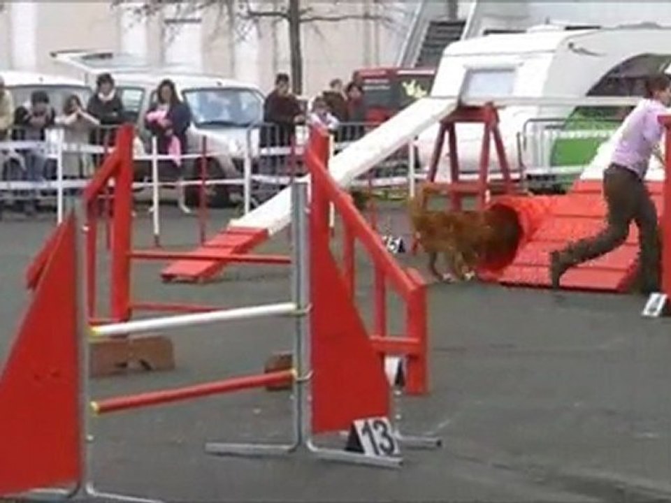 bullit angers expo
