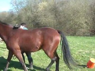 20.03.2011. désensibilisation du plot