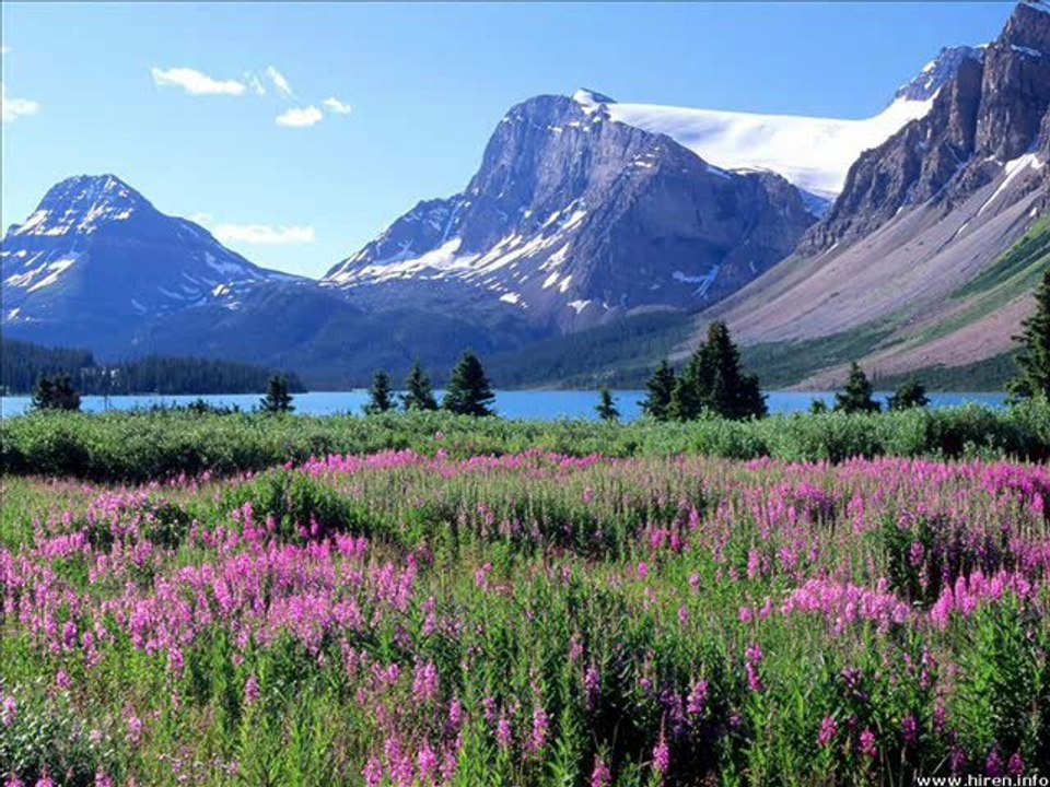 Neil Young - Four Strong Winds