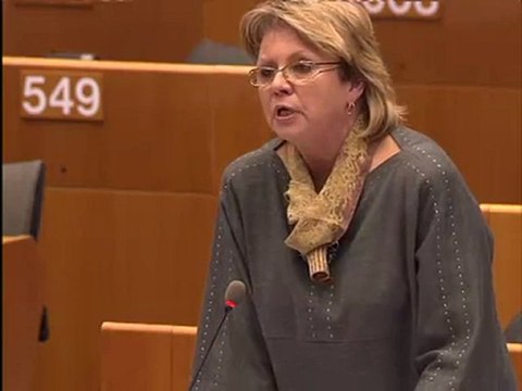 Siiri Oviir on Explanations of vote (III)