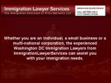 Washington DC Immigration Lawyers For Your Immigration Needs