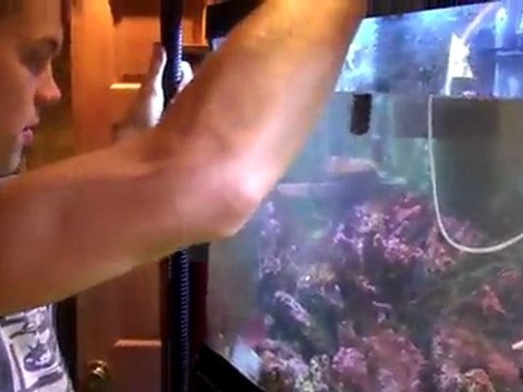 Salt water reef water changes on the 75 gallon reef tank