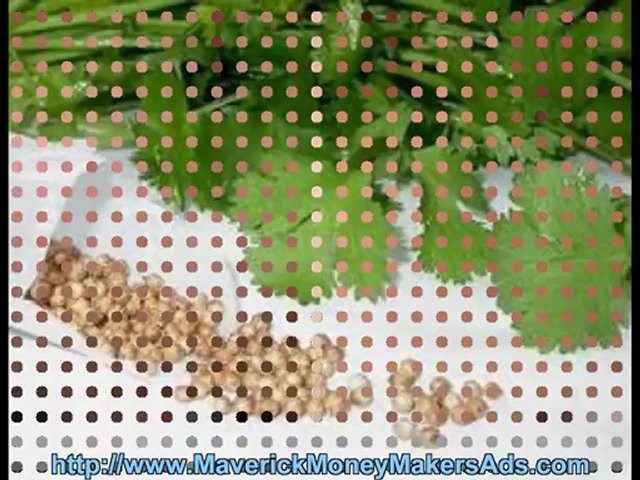 How To Treat Dry Skin