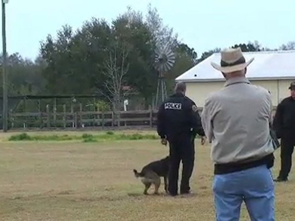 Police canine trials