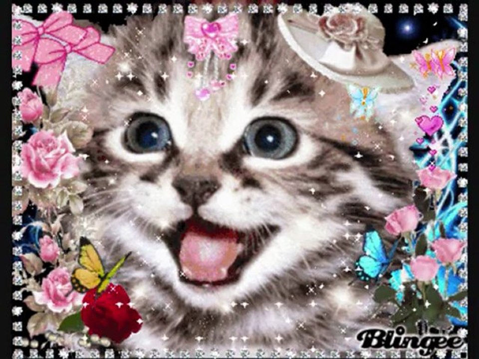 Film Butterfly_Dust erste Video