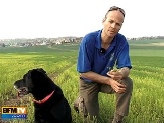 Descargar video: Sècheresse : inquiétude des agriculteurs