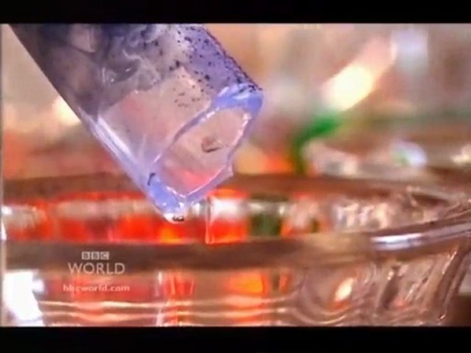 Rough.Science.S04E01partie2