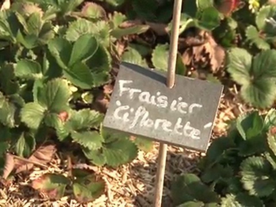 Le jardin bio de la maison de l'environnement