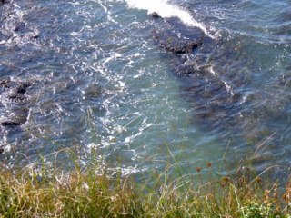 Brigitte Fassbaender: "Frauenliebe und Leben" 1 by Robert Schumann