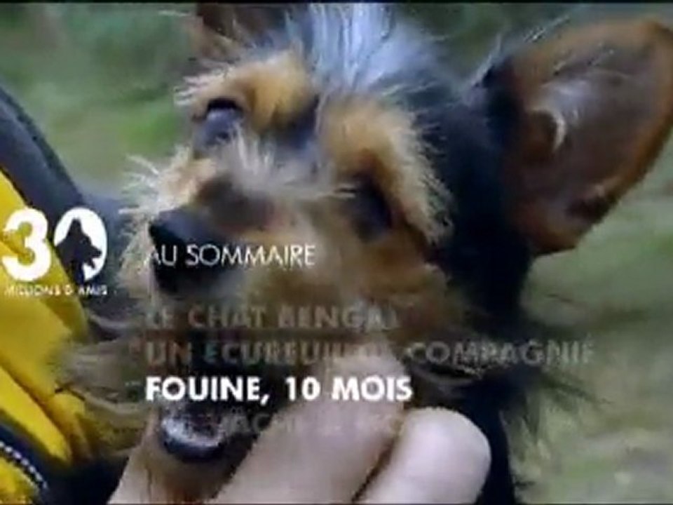 Sommaire émission 30 millions d'amis 3 04 2011