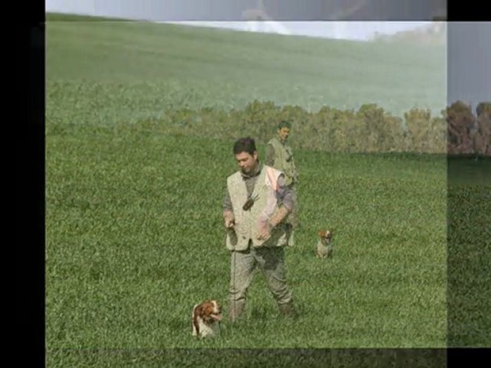 Andalousie 2011 Elevage du Canal de Lunel