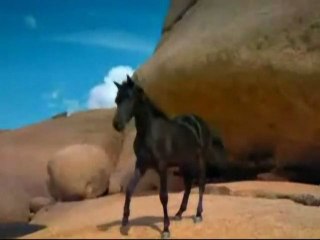 ♥❀❀.To cała prawda.❀❀♥