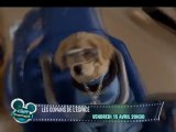 Les Copains de l'Espace le 15 avril 2011 sur Disney Cinemagic