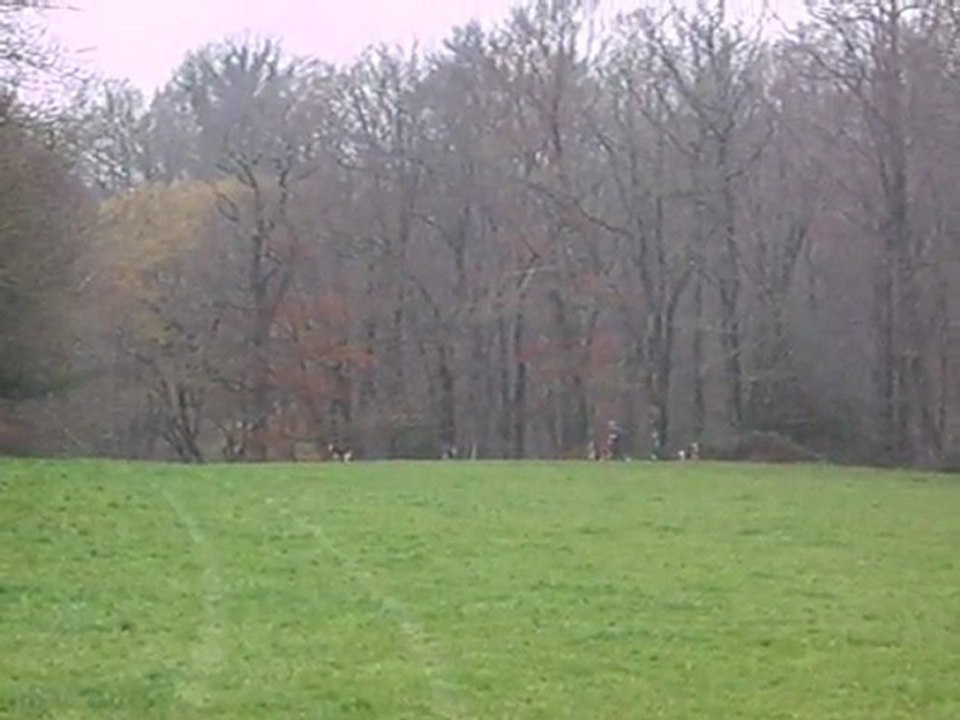 La sortie du bois (Equipage de lièvre)