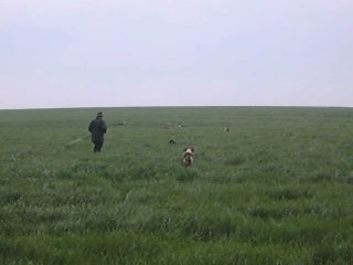 Oh, il s'en va là... (Equipage de Lièvre)