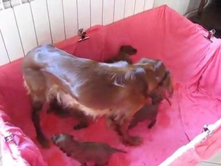 Après le casse-croute