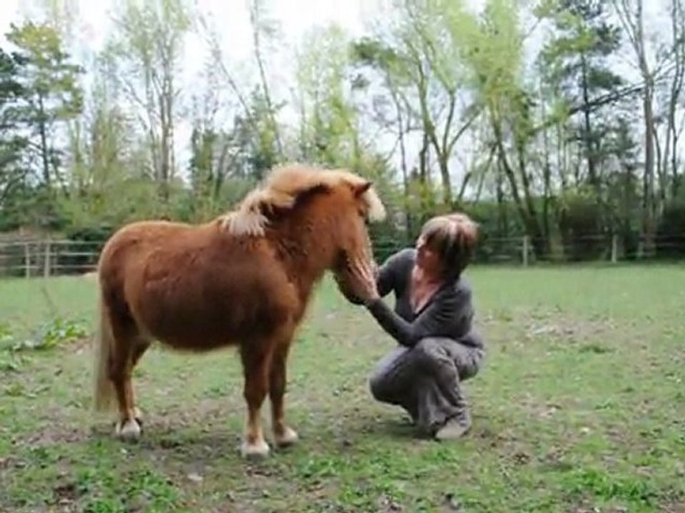 Petit Berny et Melnou