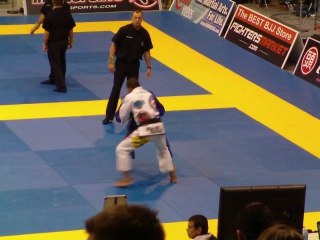 Gilbert 'Durinho' Burns vs ? 2011 Pan Ams sub