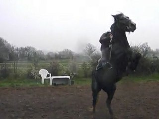 Réglisse & Moi Cabré !