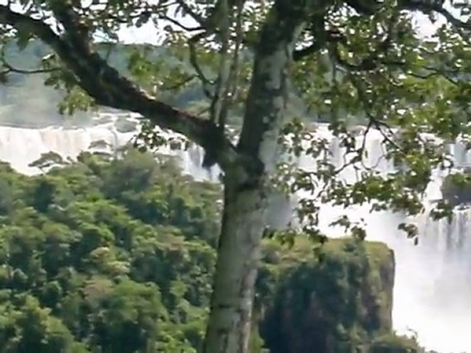 aregentine 2011 694