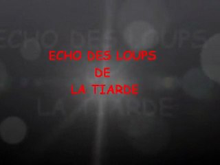 echo stage troupeaux 2011