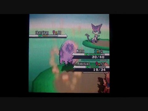 W.T Pokemon Blanc / 05 : Tous a l'ecole !!