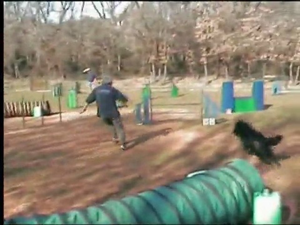 FUEGOGOGO