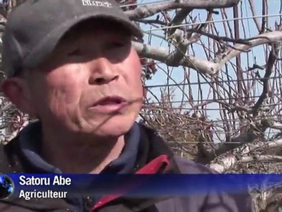 Accidente de Fukushima preocupa a agricultores japoneses
